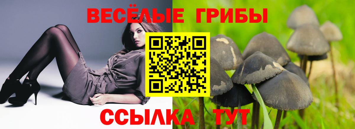 Галлюциногенные грибы прущие грибы Обнинск